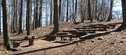 Woodland school Wildpark KL Waldschule.jpg