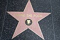 Winnie the Pooh's star on the Hollywood Walk of Fame