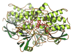 Thumbnail for Flavin-containing monooxygenase