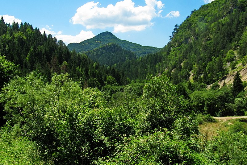 File:Zaovine, Serbia - panoramio (6).jpg