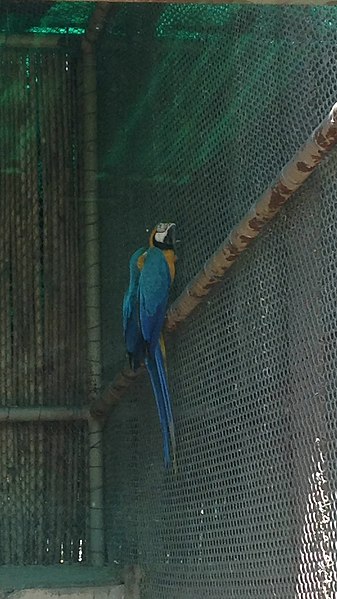 File:Zoo delhi 3.jpg