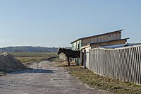 Ой чий то кінь стоїть? с.Редьківка