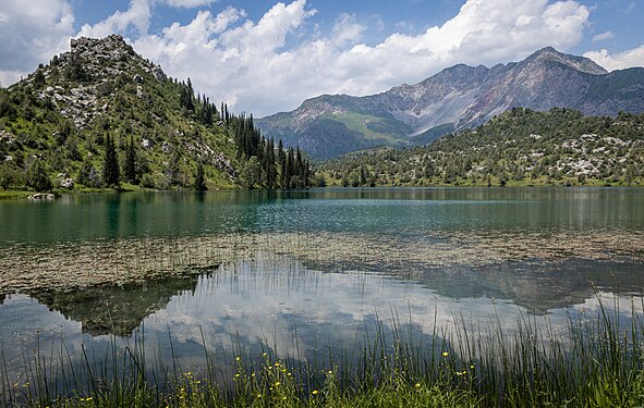 22. Sary-Chelek Nature Reserve author - Marat Nadjibaev