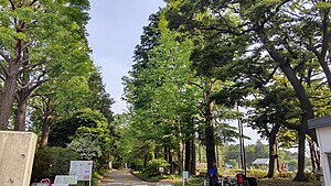 石神井松の風文化公園(2021年5月)