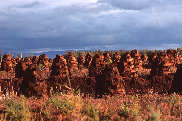 Peat bog and peat to dry, L'Isle-aux-Coudres, Quebec, Canada, 1976