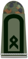 154-Oberfähnrich Heeresfliegertruppe.png