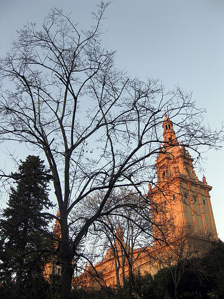 File:161 Palau Nacional (MNAC).jpg