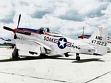 A North American F-51D Mustang of the 175th Fighter Squadron 175th Fighter Squadron North American F-51D-25-NA Mustang 44-73223.jpg