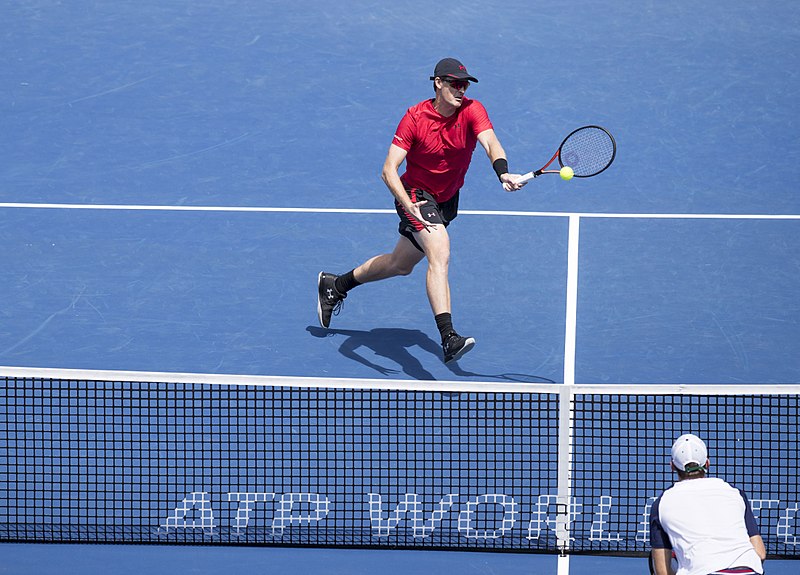 File:2017 Citi Open Tennis 20170805-0087 (36360381146).jpg