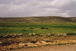 תצלום האדמה המקיפה את המאגר