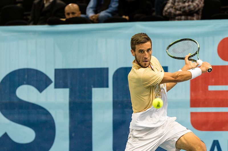 File:ATP World Tour 500 2016 A. Pavlasek (CZE) vs D. Dzumhur (BIH).jpg