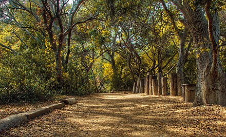 Walking trail in the El Dorado Nature Center
