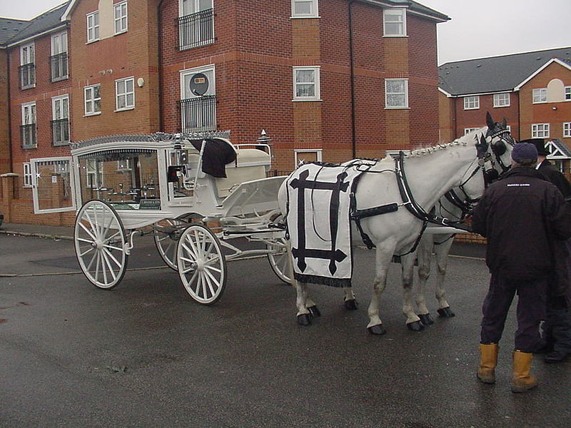 File:Aa horsehearse lipp.jpg