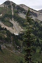 Mount Rainier National Park