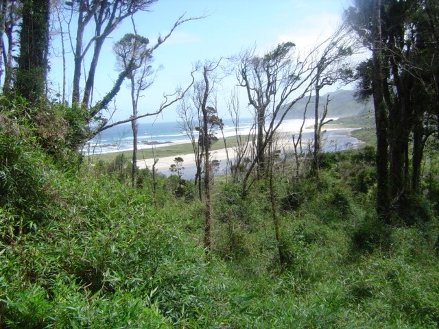 Chiloé National Park in December 2003