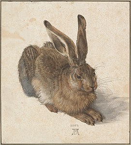 Albrecht Dürer