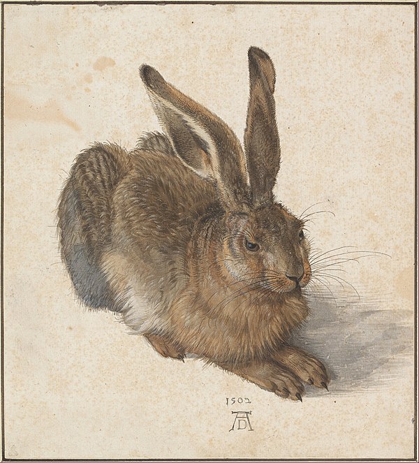 Albrecht Dürer, Young Hare, 1502, watercolor and body color, Albertina, Vienna