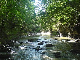 Algeti River.jpg