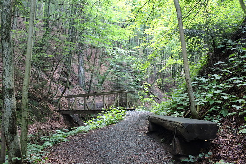 File:Altenbachklamm (11).JPG