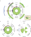 Planetary boundaries - Wikipedia