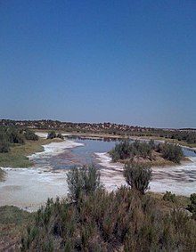 Andrade Mesa wetlands AndradeMesawetlands.jpg