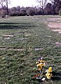 Korn's grave at Mount Emblem, Elmhust, Illinois, in 1988