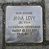 Anna Levy.jpg