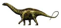 Rekonstruksjon av Apatosaurus
