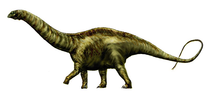 File:Apatosaurus louisae by durbed.jpg