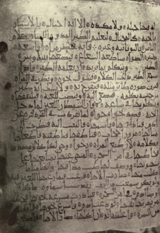 <span class="mw-page-title-main">Arabic Apocalypse of Peter</span> 10th-century Christian apocalyptic text