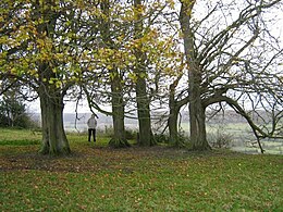 Saint-Martin-le-Gaillard - Vue