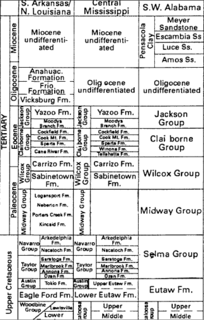 <span class="mw-page-title-main">Midway Group</span> Geologic group in the southern United States