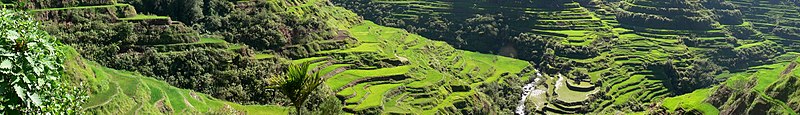 File:Asia banner Rice terraces.jpg