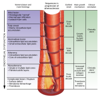 Infarction could be caused by damaged cholesterol plaque Atherosclerosis timeline - endothelial dysfunction.svg