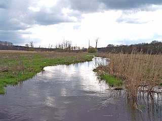 Aue (Elbe) River in Germany