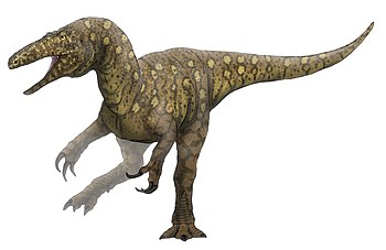 Australovenator reconstruction.jpg