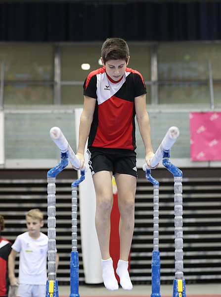 File:Austrian Future Cup 2018-11-23 Training Afternoon Parallel bars (Martin Rulsch) 0764.jpg