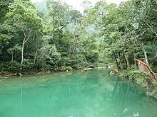 The river which emerges from the Hokeb Ha Cave BLUE CREEK POOL.jpeg