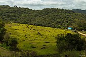 Pelotas: City in Rio Grande do Sul, Brazil