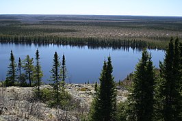 Een meer in de wildernis van Eeyou Istchee Baie-James