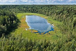 Järvi heinäkuussa 2021