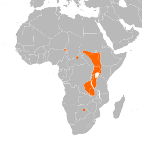 Beskrivelse af Balaeniceps rex distribution.svg billede.