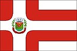 Флаг Биас-Фортис