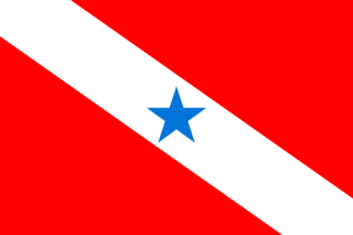 <span class="mw-page-title-main">Flag of Pará</span> Flag of the Brazilian state of Pará