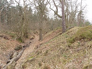 Caesars Camp, Bracknell Forest hillfort in Bracknell Forest