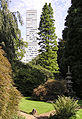 Bayer-Hochhaus Leverkusen, vom Japanischen Garten aus