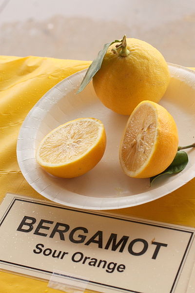 File:Bergamot - Sour Orange - January 2013.jpg