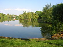 Der Obersee bildet zusammen mit dem Orankesee das Herzstück des Villenviertels