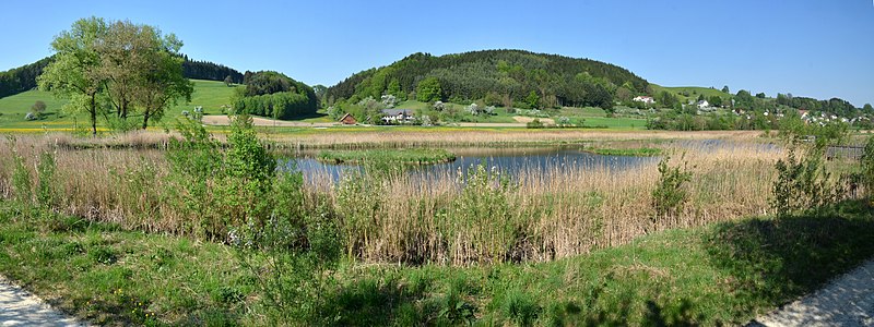 File:Billafingen-DSC 5391 pano.jpg