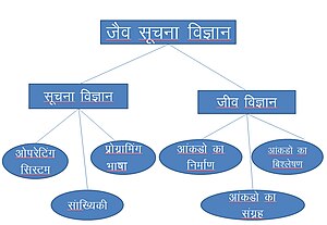 Bioinformatics-model.jpg